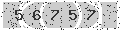 verify code