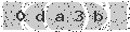 verify code